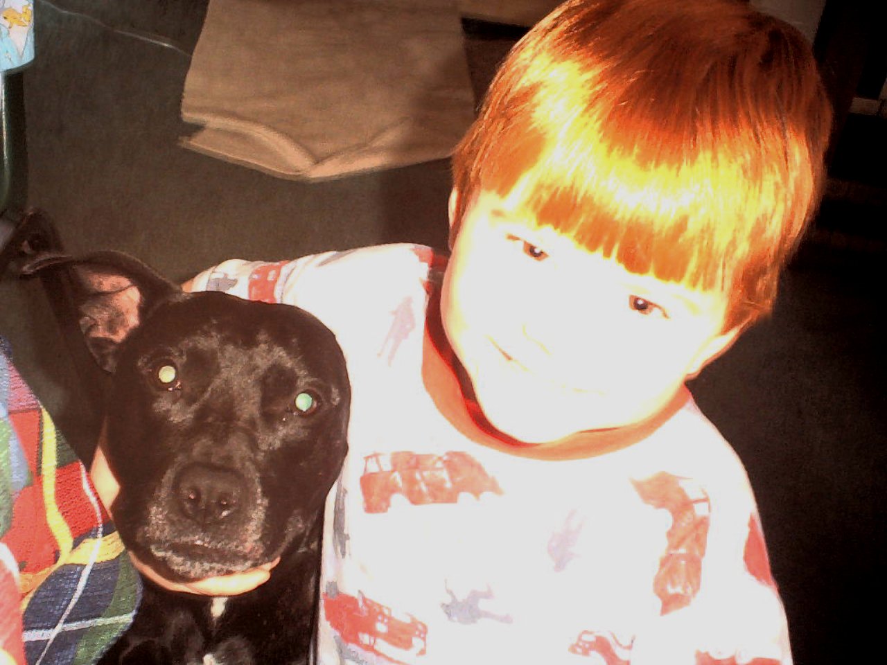 This is Amanda's dog, well, the house dog, named PJ.